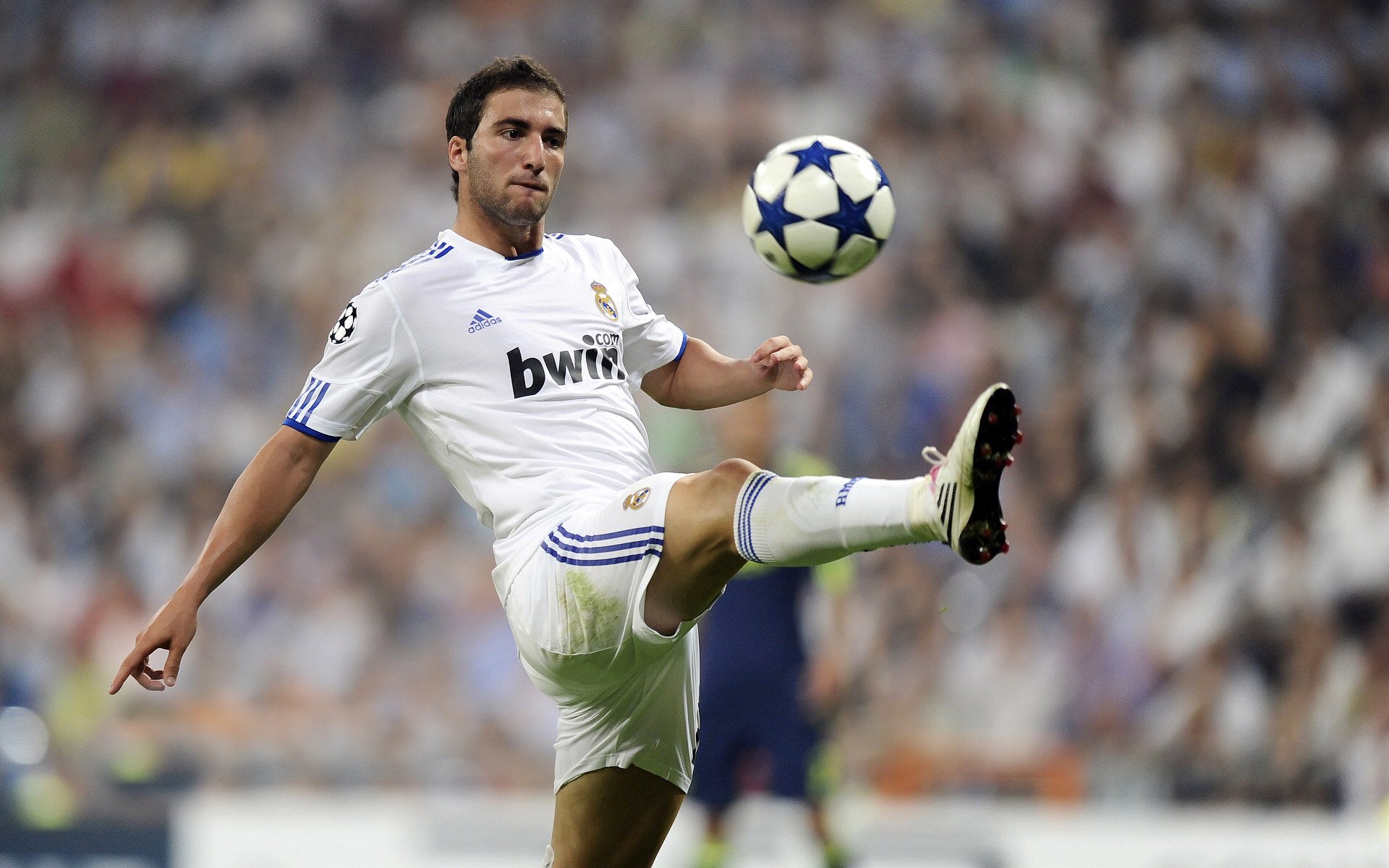 4球9助攻!19岁荷兰新带刀后卫荷甲横空出世,5大欧洲豪门疯抢,最强荷兰后卫